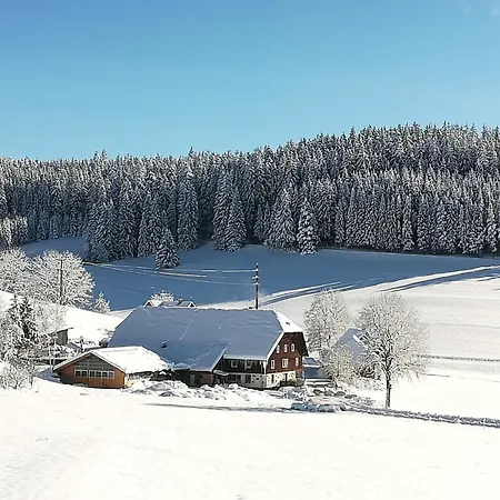 Donishaeusle Konukevi Titisee-Neustadt