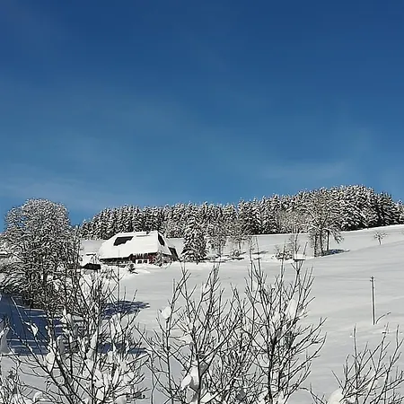 Konukevi Donishaeusle